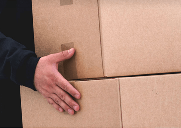 New Project 8 New Project 8