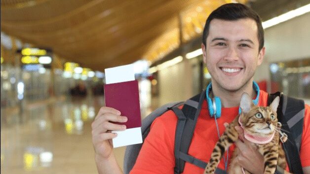 Moving to portugal with pet 2