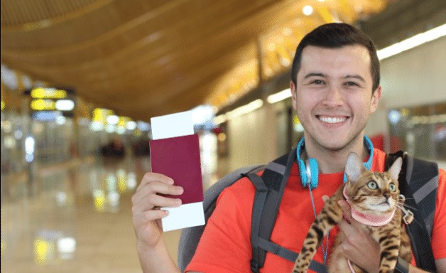 Moving to portugal with pet 2 Moving to portugal with pet 2